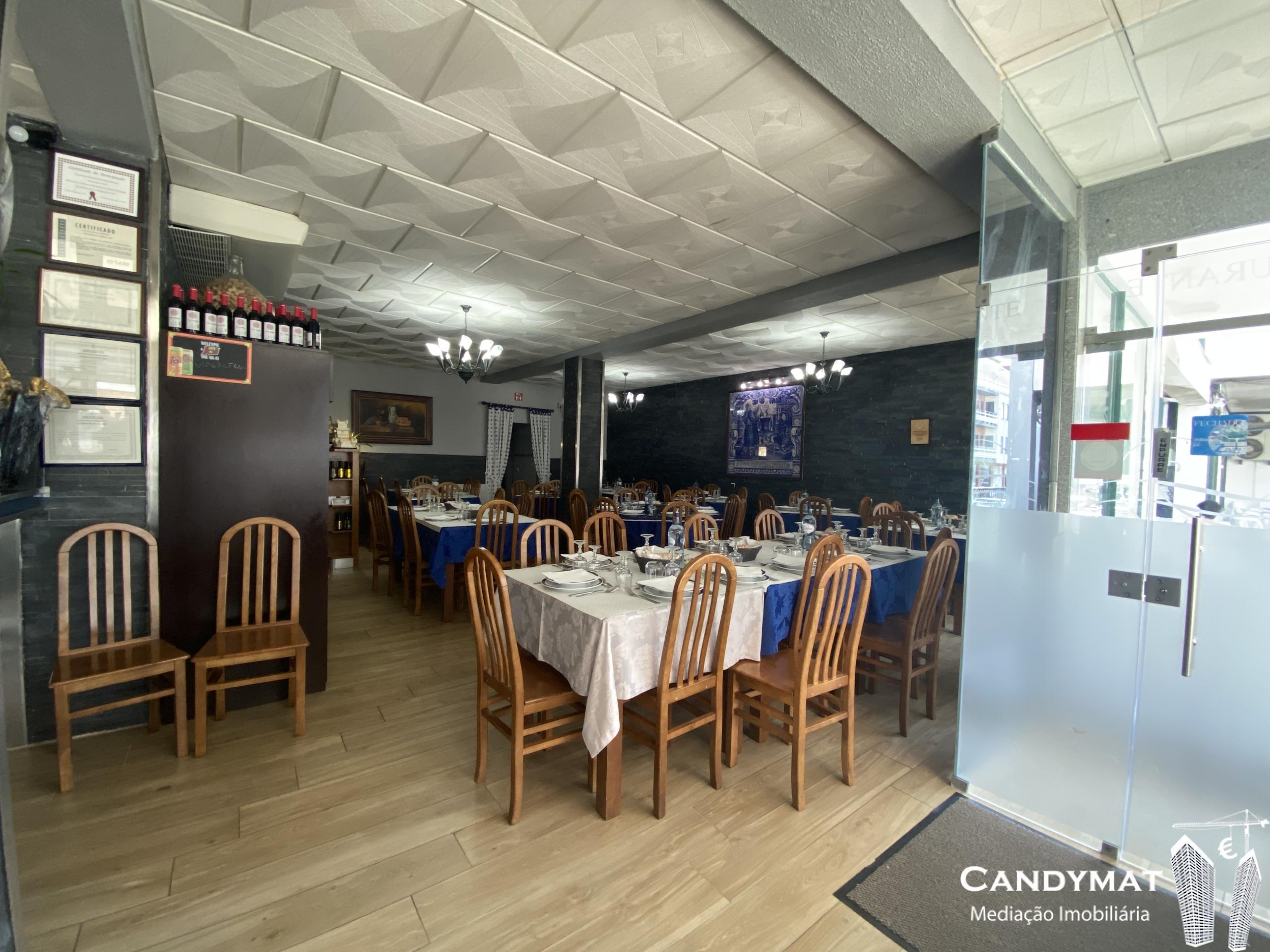 IMG_4568
